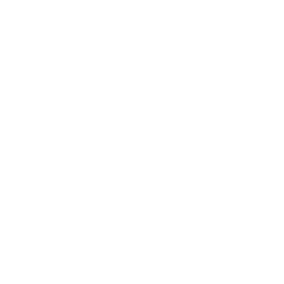 ABSOLUT BELLA logo