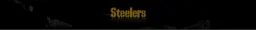 Steelers Nation Radio logo