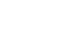 Logo de Everything Is New