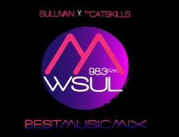Logo da WSUL