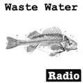Logo de Waste Water Music