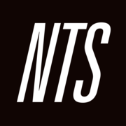 Logo da Labyrinth | NTS