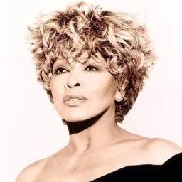 Logo da Exclusively Tina Turner