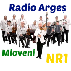 Argeș Mioveni NR1 logo