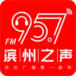 Logo da 滨州综合广播
