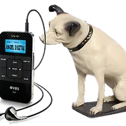 Logo da Angel Radio