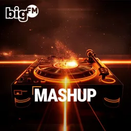 Logo de bigFM Mashup