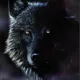 Logo de Darklupu Laut.fm
