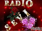 Logo da Sevi