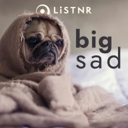 Logo da LiSTNR - big sad (HLS)