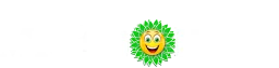 Logo de Radio Midtsjælland