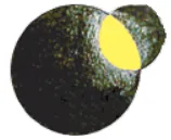 Orbital Rádio logo
