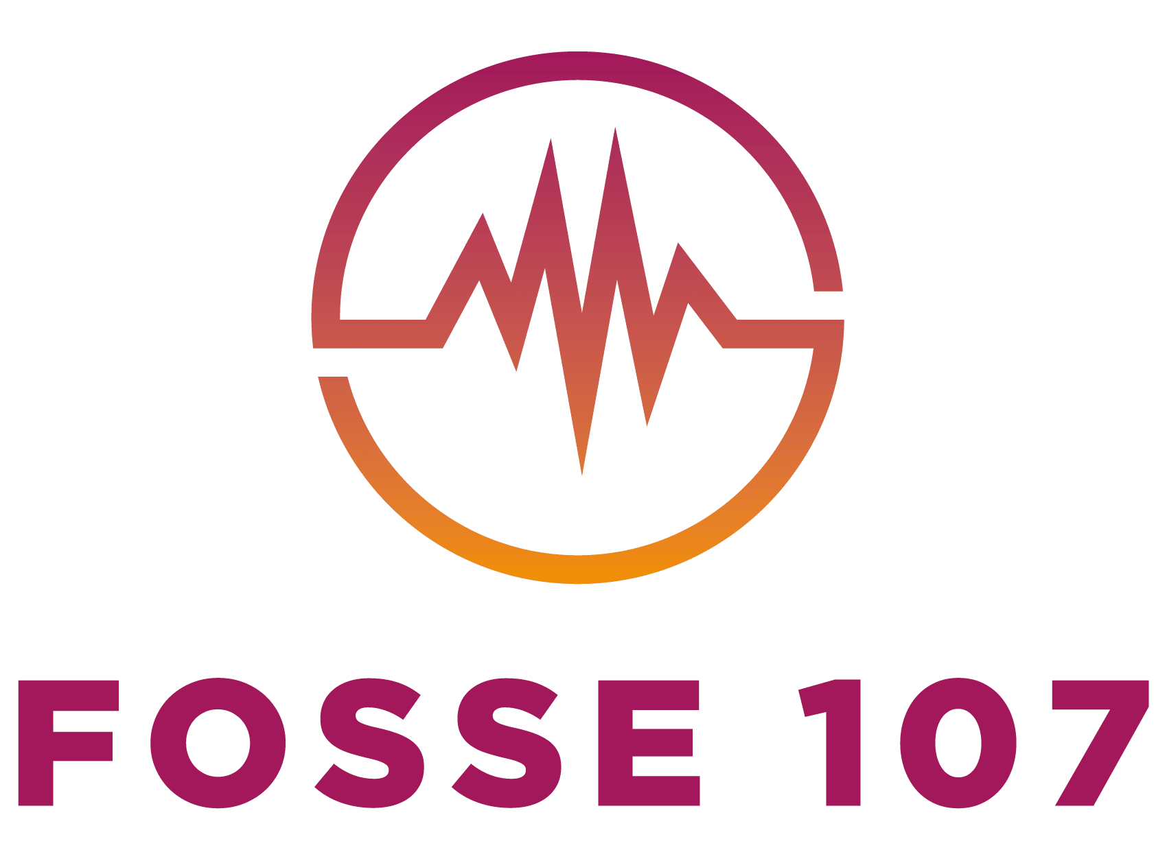 Logo de Fosse 107