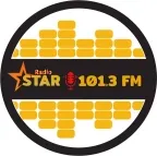 Logo de Radiostar 101.3
