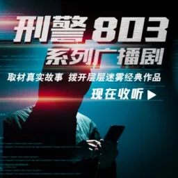 Logo da 刑警803