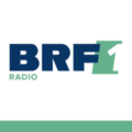 Logo da BRF1