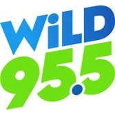 Logo da WiLD 95.5