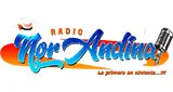 Radio Nor Andina 101.9 MHz FM - Cajamarca, Celendín logo