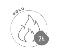 GOLD 24 logo