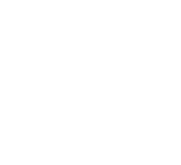 Paranoise logo