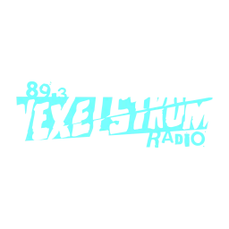 Logo da CP2077 - Radio Vexelstrom 89.3
