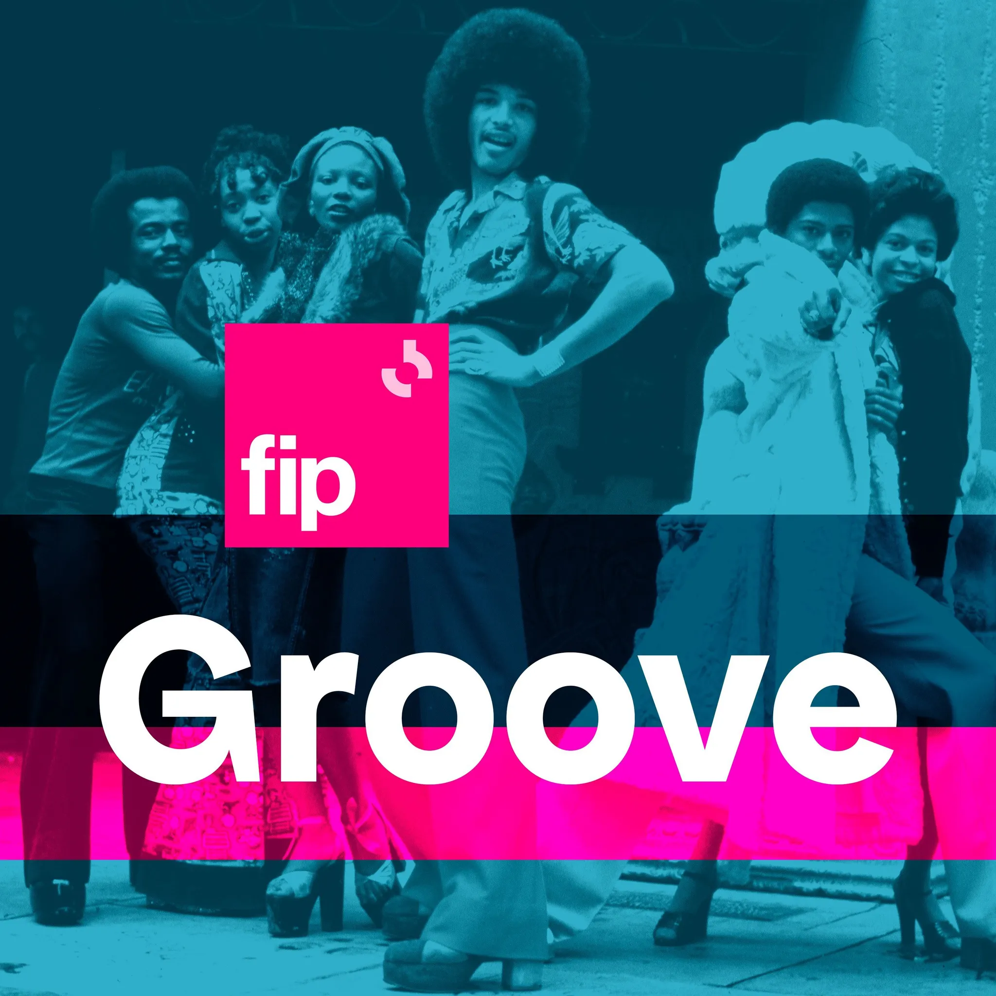 Logo da FIP Groove