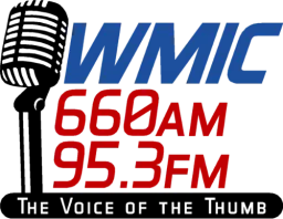 Logo da WMIC