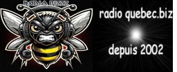 Logo da Radio Bizzz
