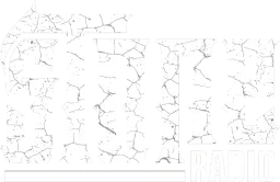 Stone Radio logo
