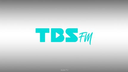 Logo de TBS eFM 101.3