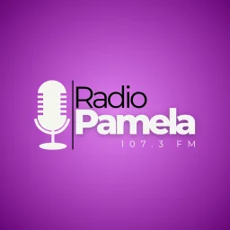 Logo da Radio Pamela FM 107.3