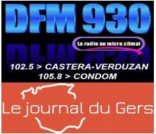 Logo da DFM 930