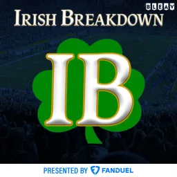 Capa de Irish Breakdown